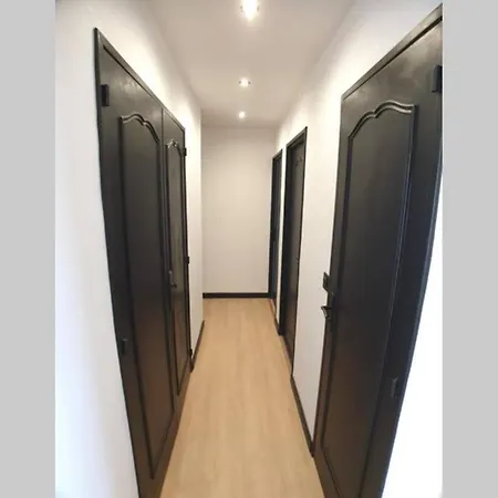 Lumineux Appartement Recement Renove Et Meuble Lejlighed