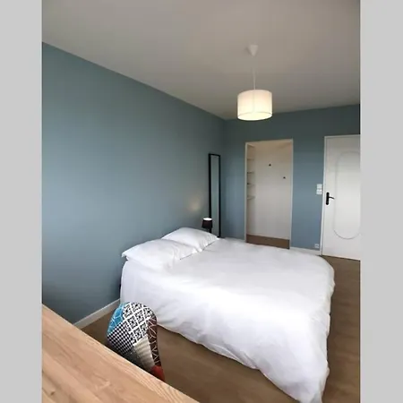 Lumineux Appartement Recement Renove Et Meuble Lejlighed